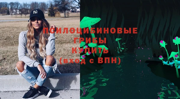 метадон Арсеньев
