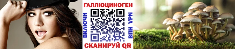 Галлюциногенные грибы GOLDEN TEACHER  Ахтубинск 